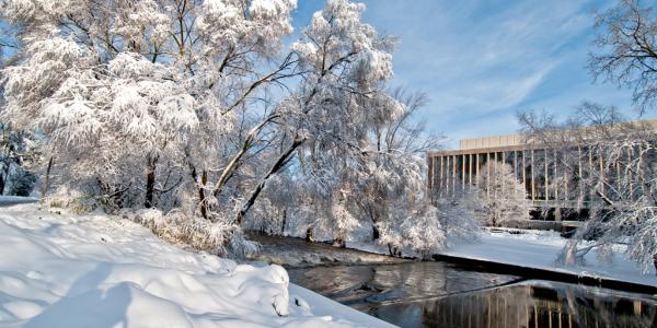 Exploring nature during winter - MSU Extension